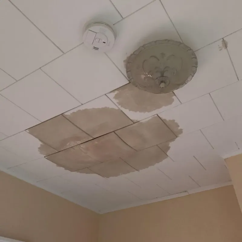 Ceiling Water Damage Repair in Smith Mills, MA
