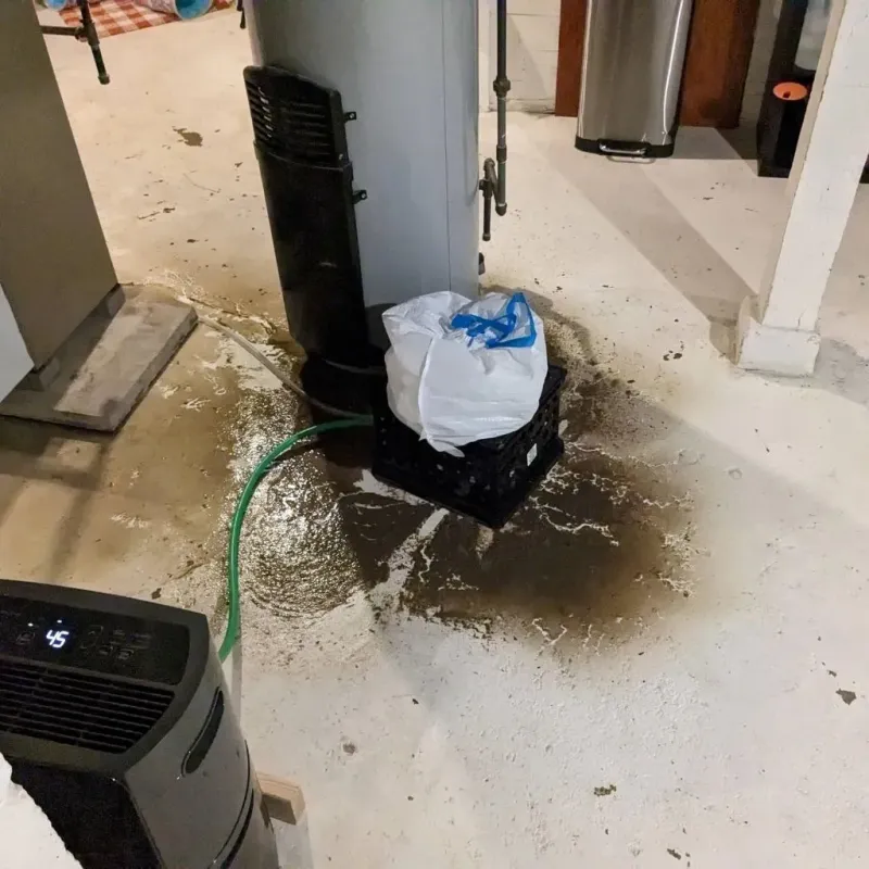 Sewage Backup Cleanup Service in Smith Mills, MA